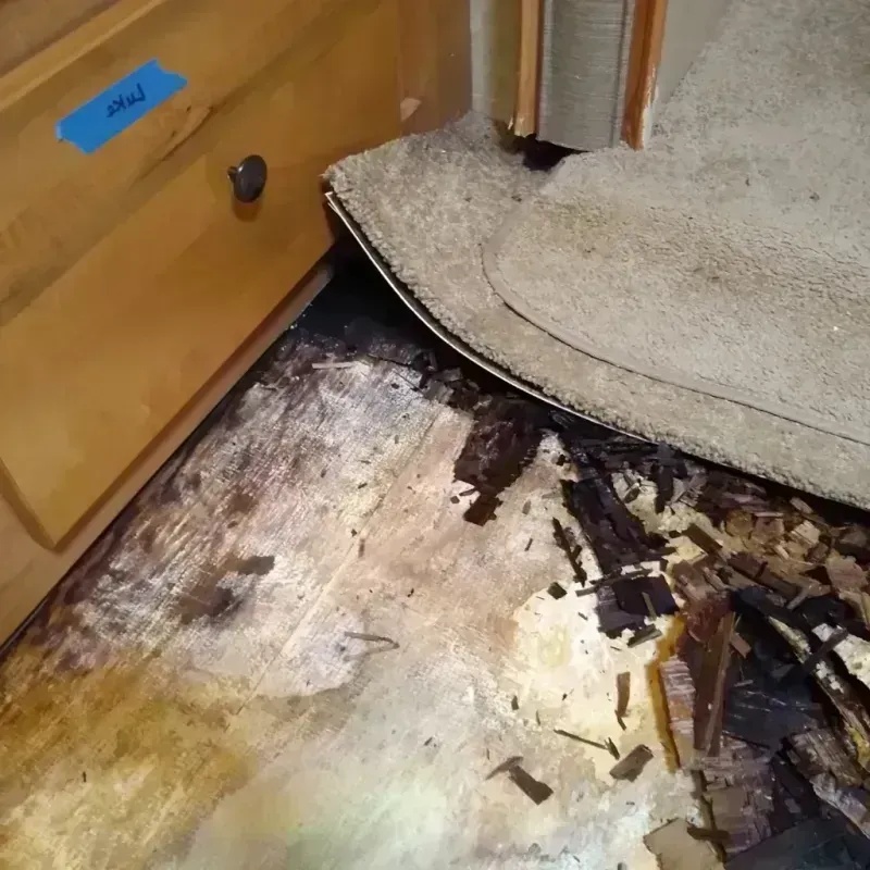 Best Wood Floor Water Damage Service in Charleston County, SC